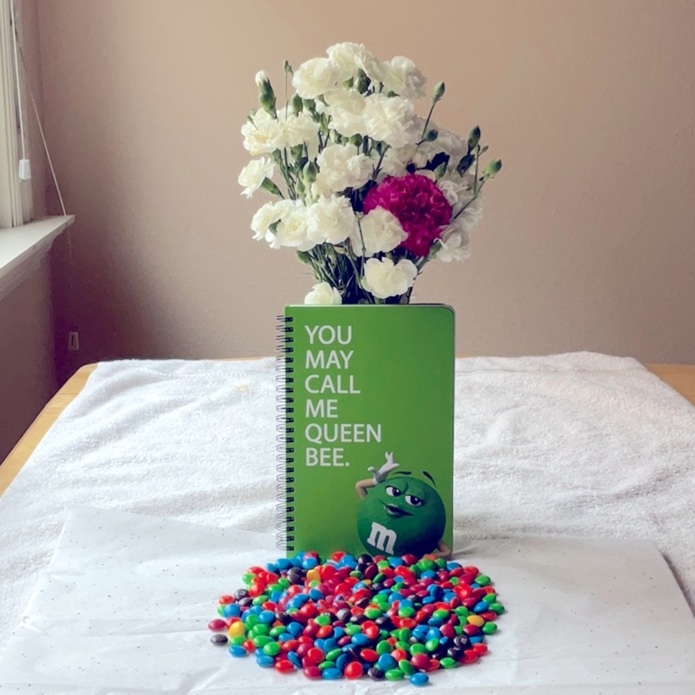 📗💙 M&M’S NOTEBOOK 📗💙